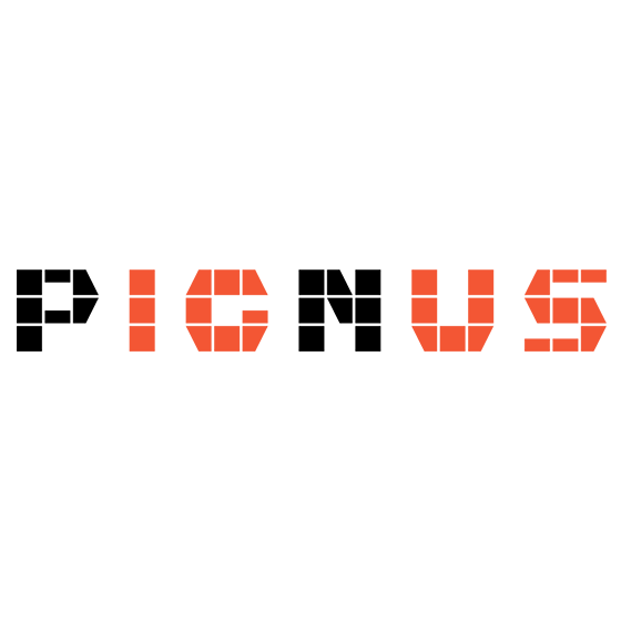 logo de la submarca pignus